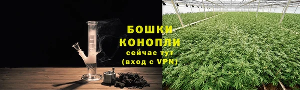 гидропоника Бородино