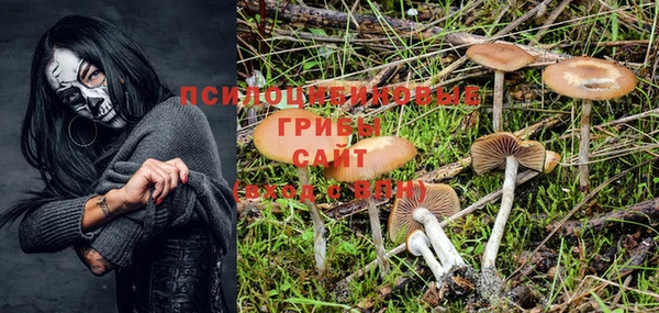 гидропоника Бородино