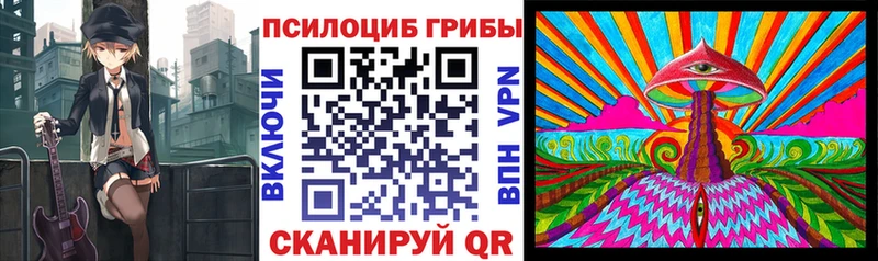 Галлюциногенные грибы Psilocybine cubensis  Люберцы 